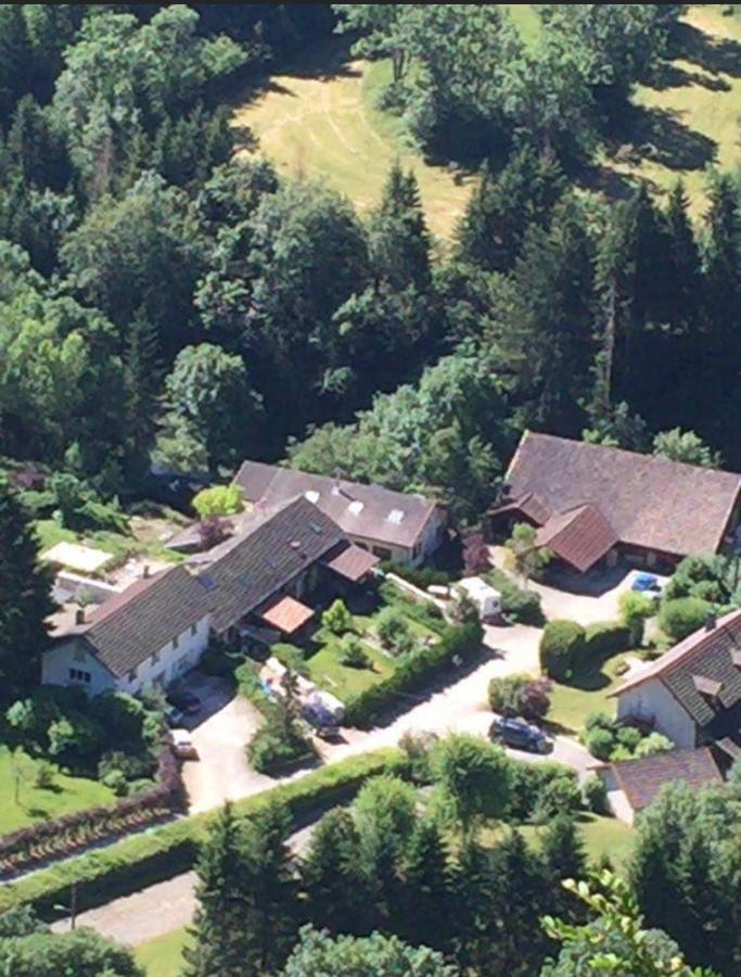 Apartment Un Nid De Verdure 2 Ch *